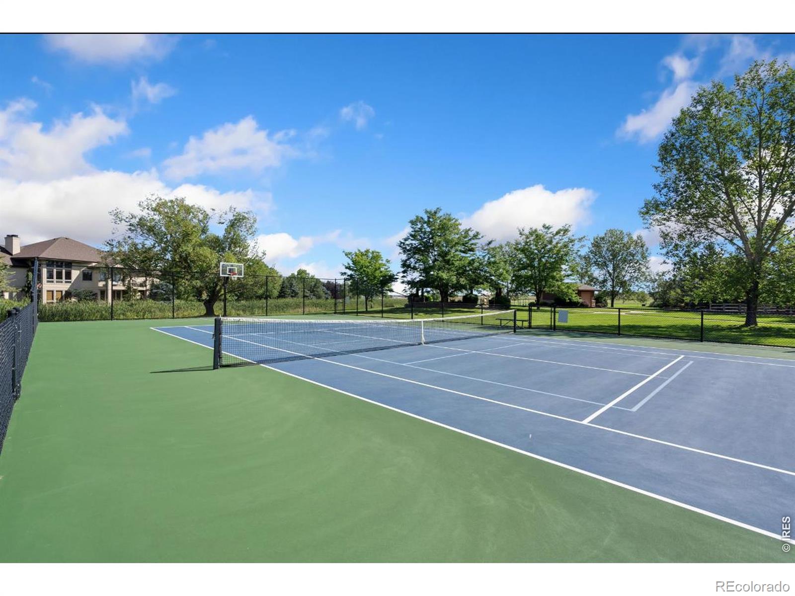 3905 Raptor Court Fort Collins CO 80528