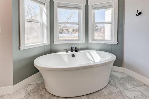 817 Shade Tree Drive Windsor CO 80550