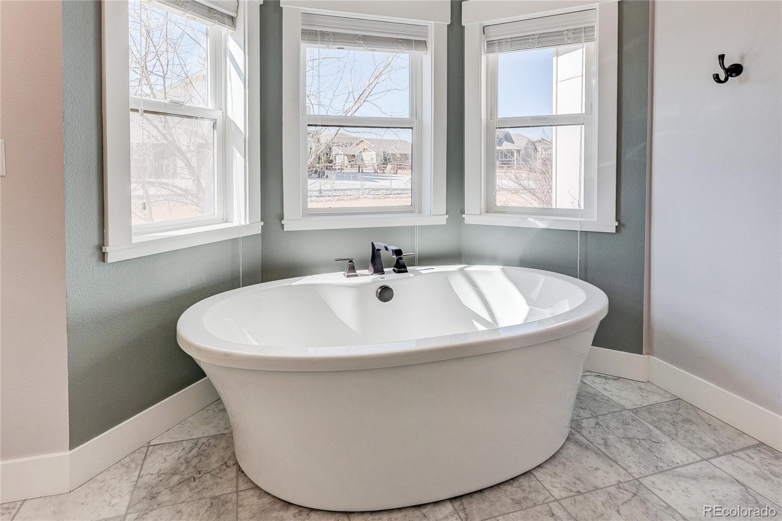 817 Shade Tree Drive Windsor CO 80550
