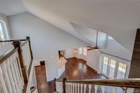 817 Shade Tree Drive Windsor CO 80550