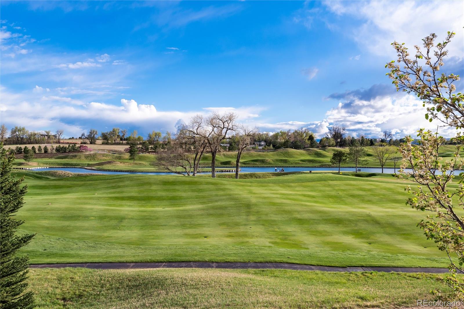 103 Glenmoor Lane Cherry Hills Village CO 80113