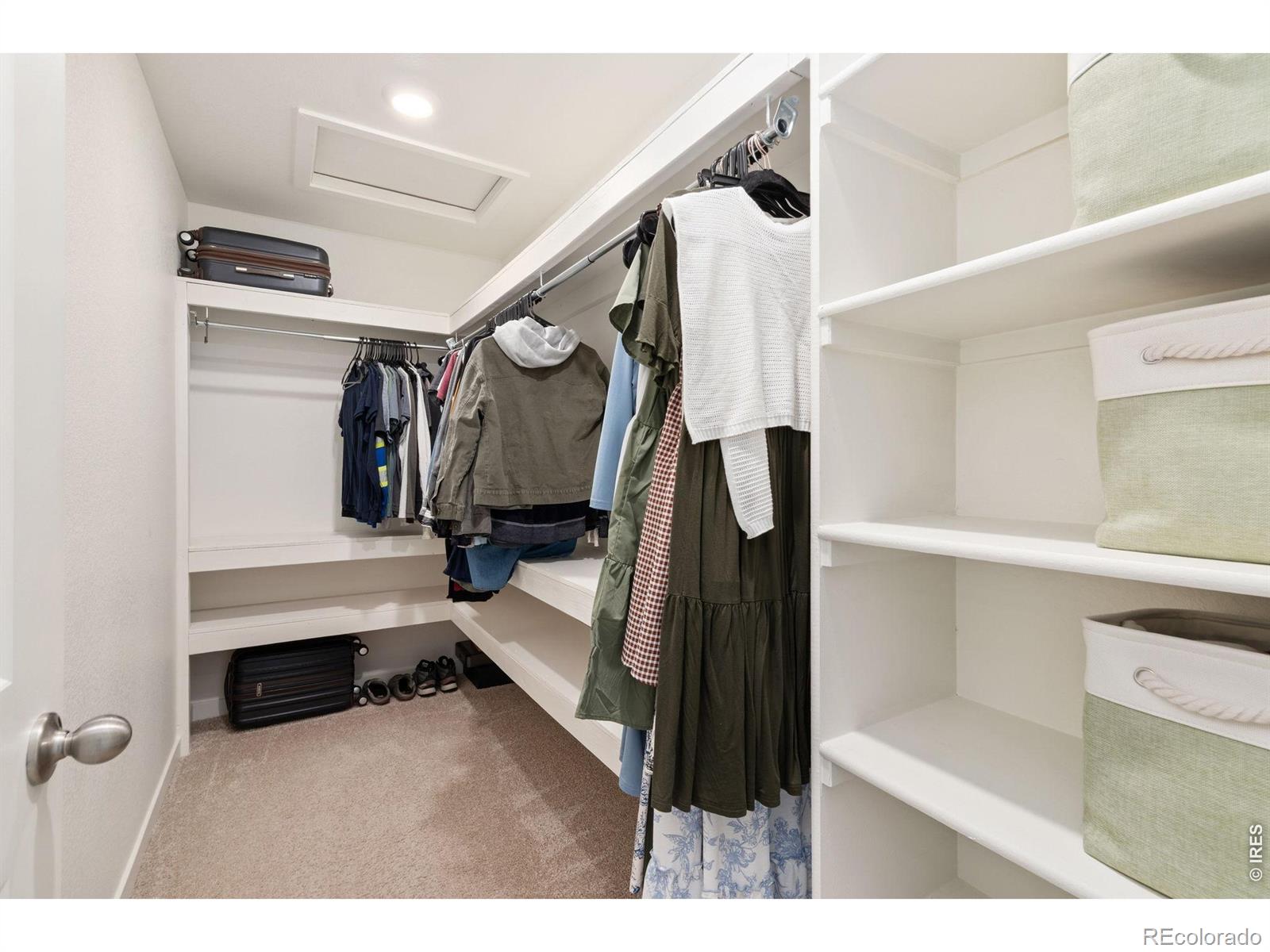 3758 Catmint Street Wellington CO 80549