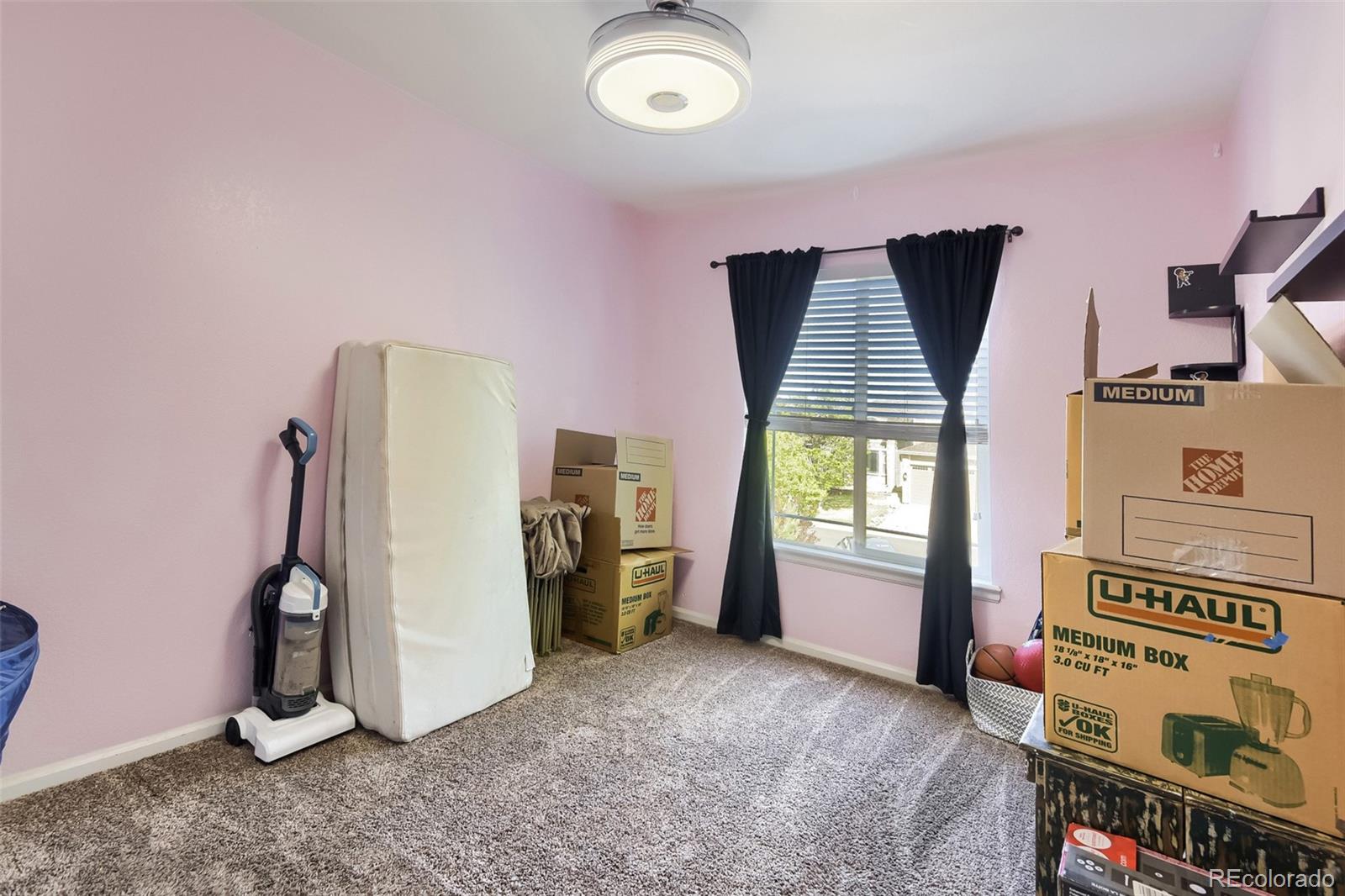 7431 Bison Place Littleton CO 80125