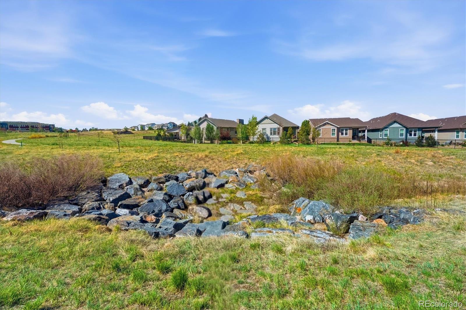 3617 New Haven Circle Castle Rock CO 80109