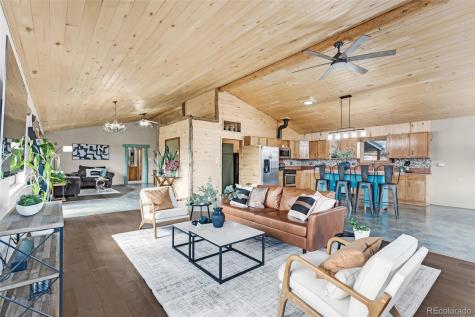 24700 Us Highway 285 Buena Vista CO 81211