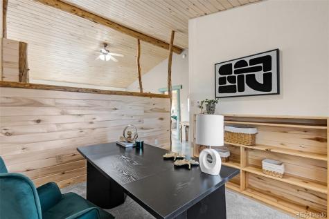 24700 Us Highway 285 Buena Vista CO 81211