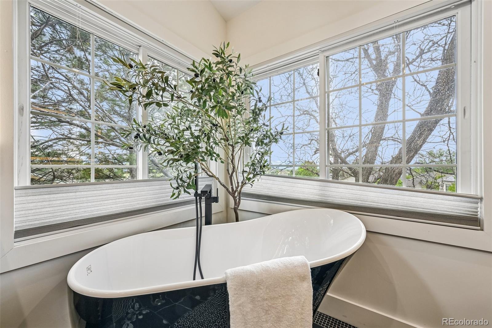 9315 Sulton Court Highlands Ranch CO 80126