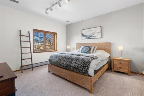 3253 Red Tree Place Castle Rock CO 80104