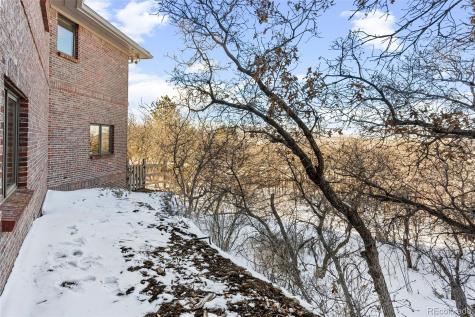 3253 Red Tree Place Castle Rock CO 80104