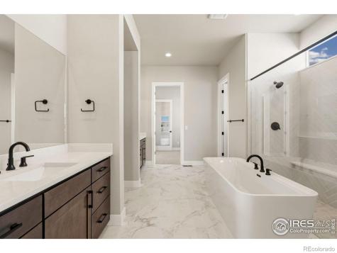 1641 Flourish Court Windsor CO 80550