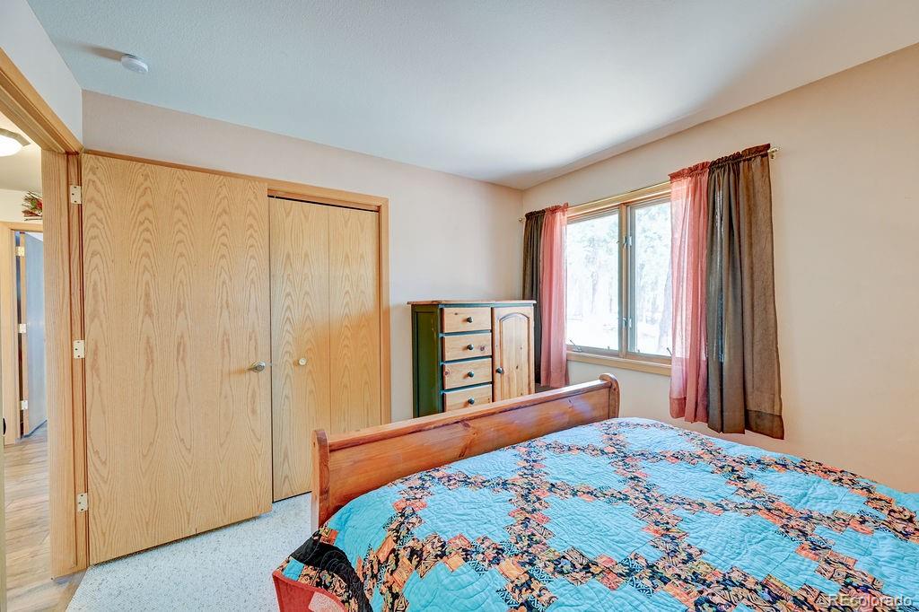 18060 Rio Hondo Drive Buena Vista CO 81211
