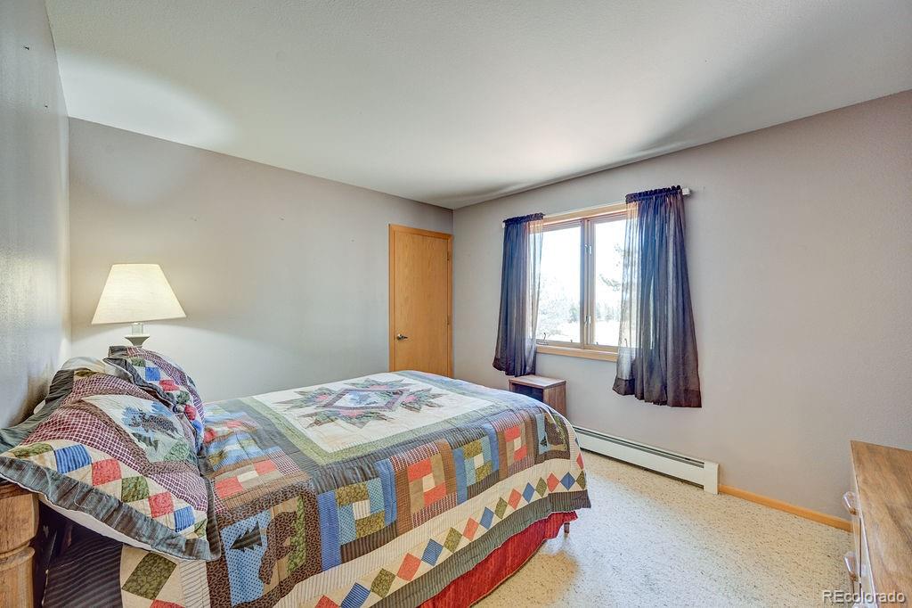 18060 Rio Hondo Drive Buena Vista CO 81211