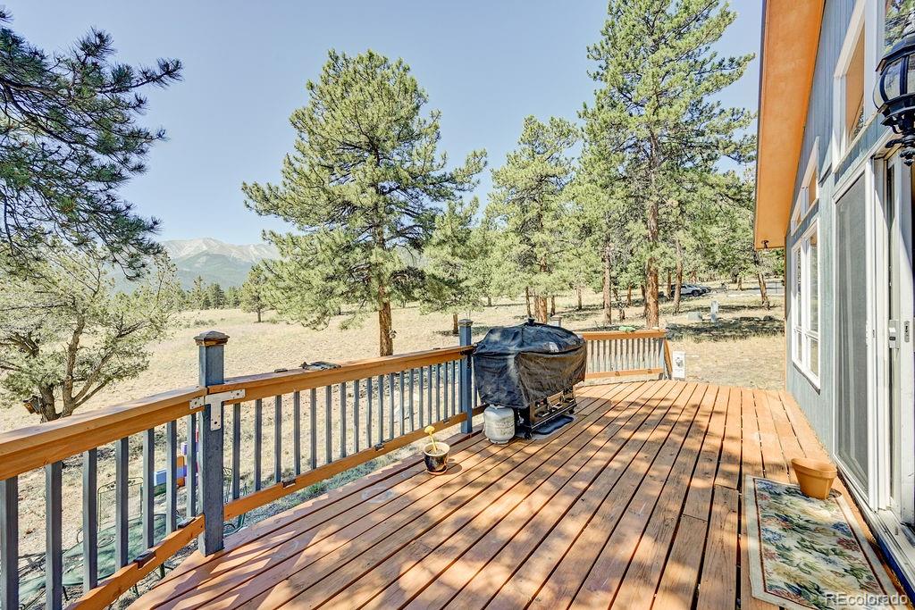 18060 Rio Hondo Drive Buena Vista CO 81211