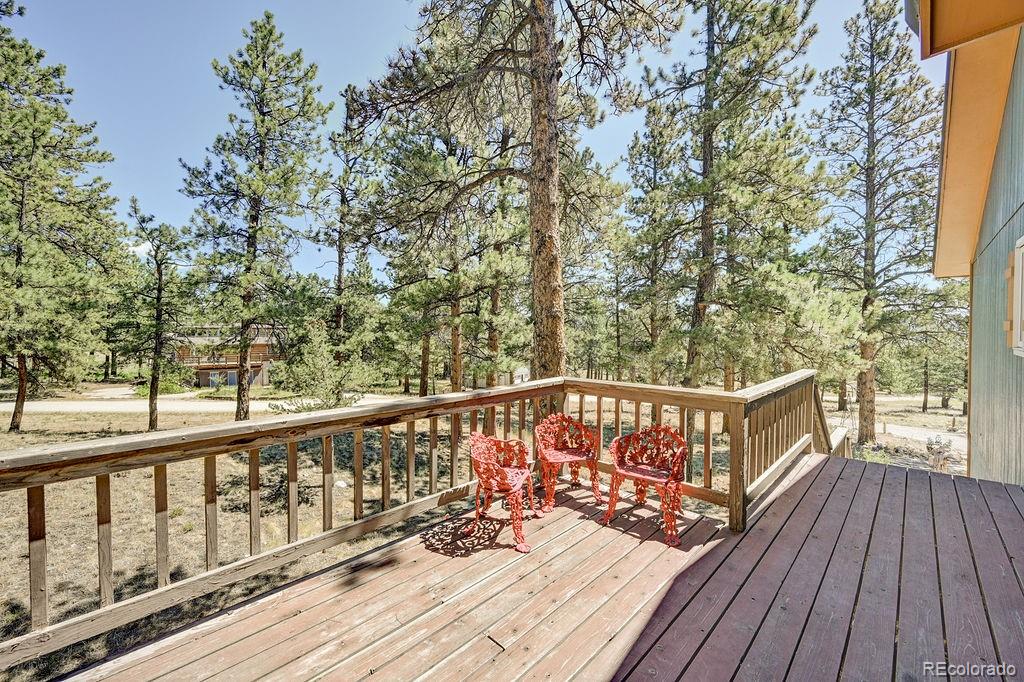 18060 Rio Hondo Drive Buena Vista CO 81211