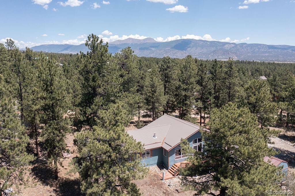 18060 Rio Hondo Drive Buena Vista CO 81211