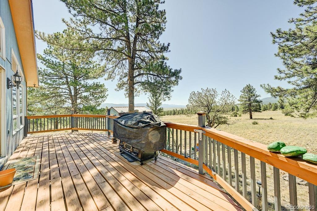 18060 Rio Hondo Drive Buena Vista CO 81211