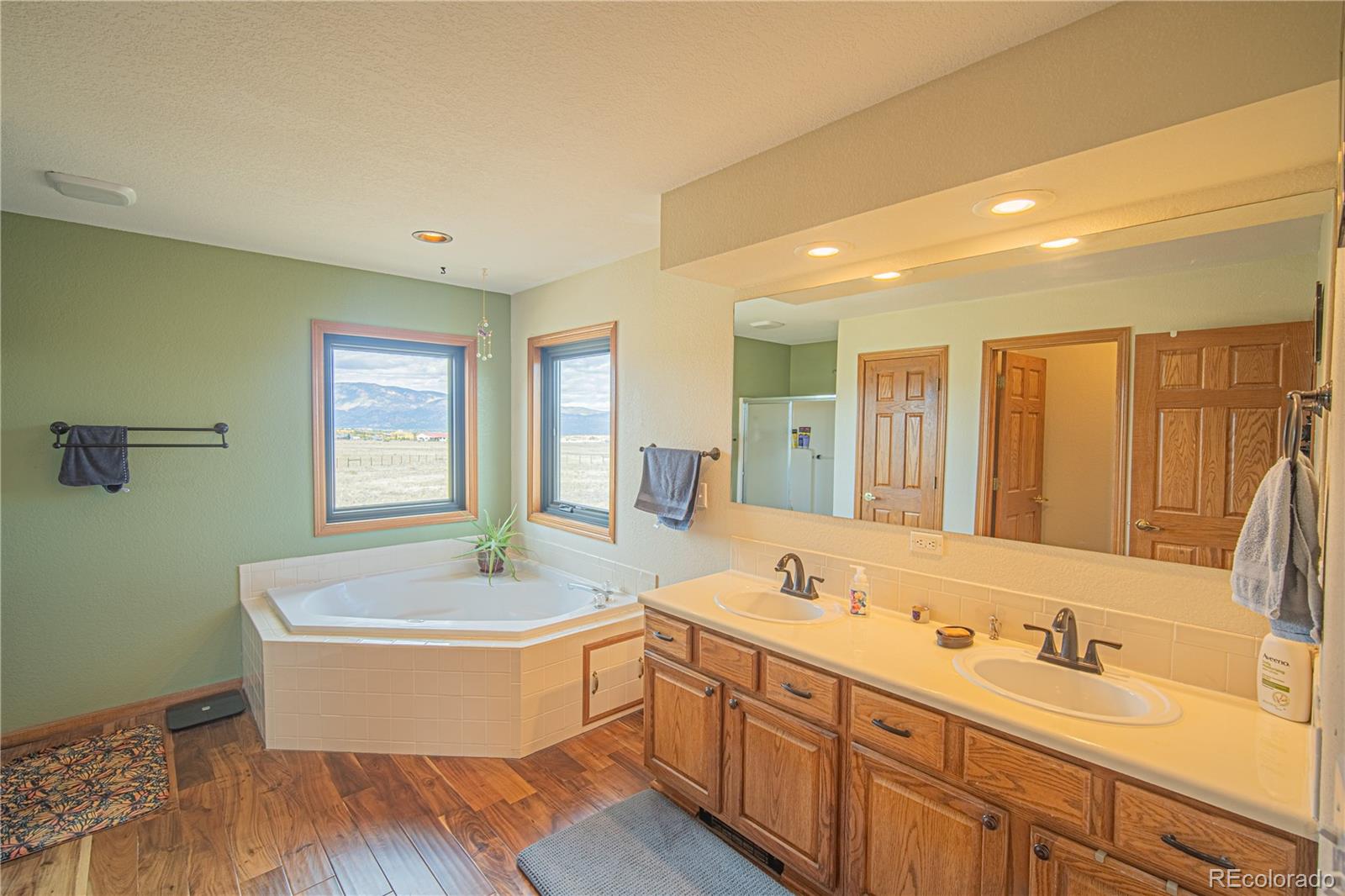 27107 County Road 342 Buena Vista CO 81211