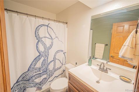 27107 County Road 342 Buena Vista CO 81211