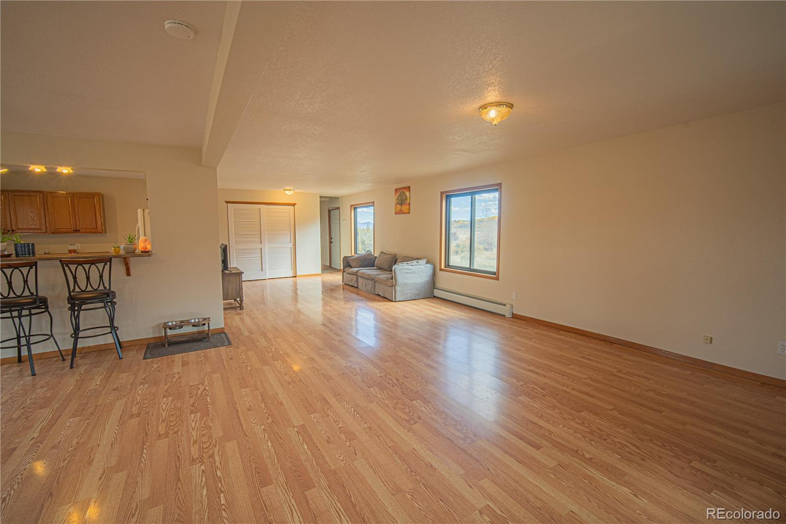 27107 County Road 342 Buena Vista CO 81211
