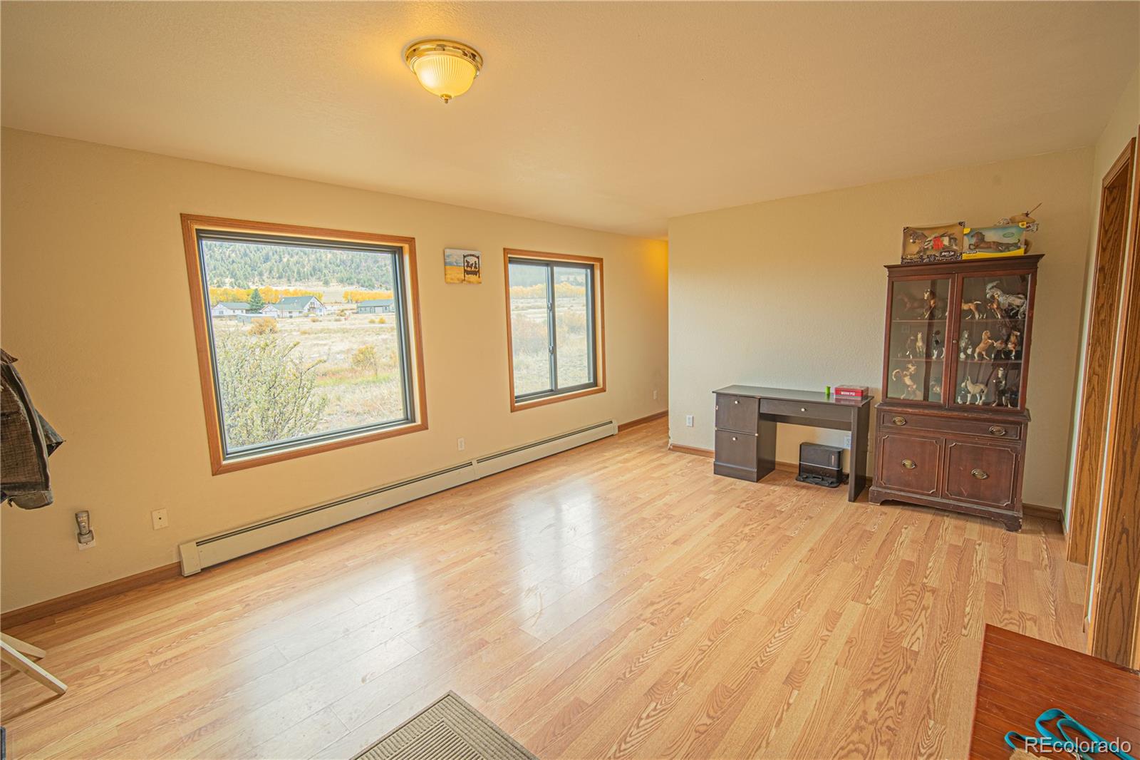 27107 County Road 342 Buena Vista CO 81211