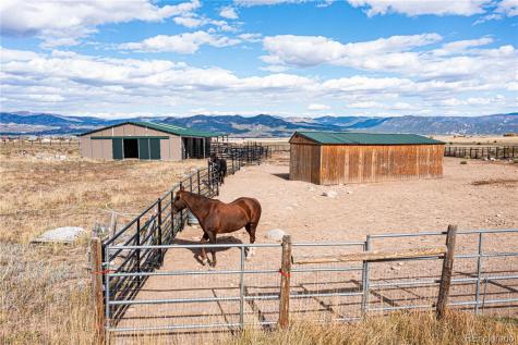 27107 County Road 342 Buena Vista CO 81211