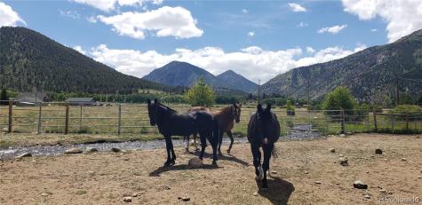 27107 County Road 342 Buena Vista CO 81211