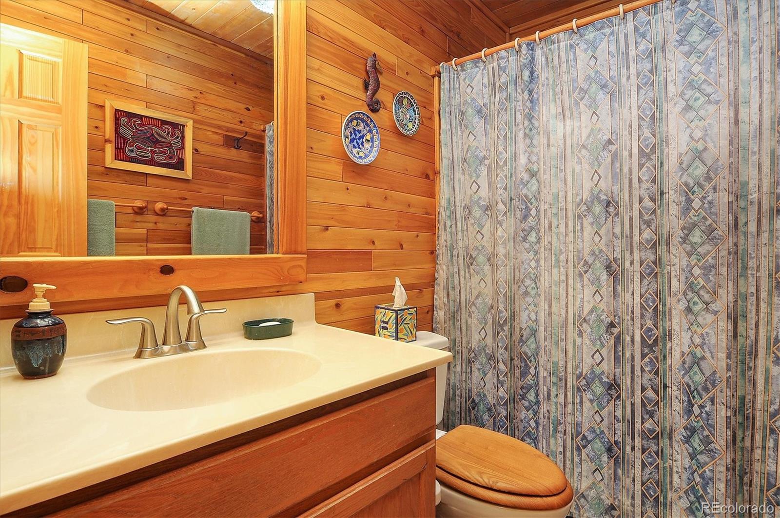 1111 Red Feather Road Cotopaxi CO 81223