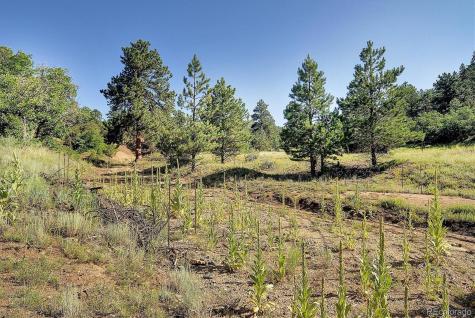 1111 Red Feather Road Cotopaxi CO 81223