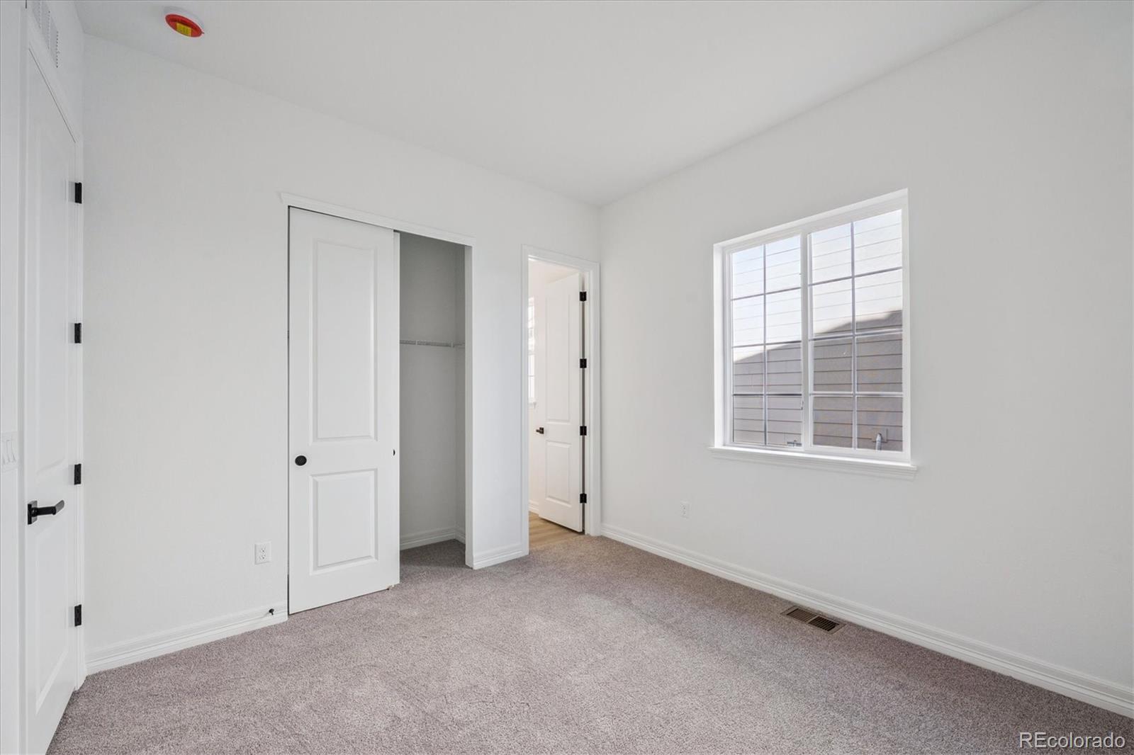 1180 Weller Street Timnath CO 80547