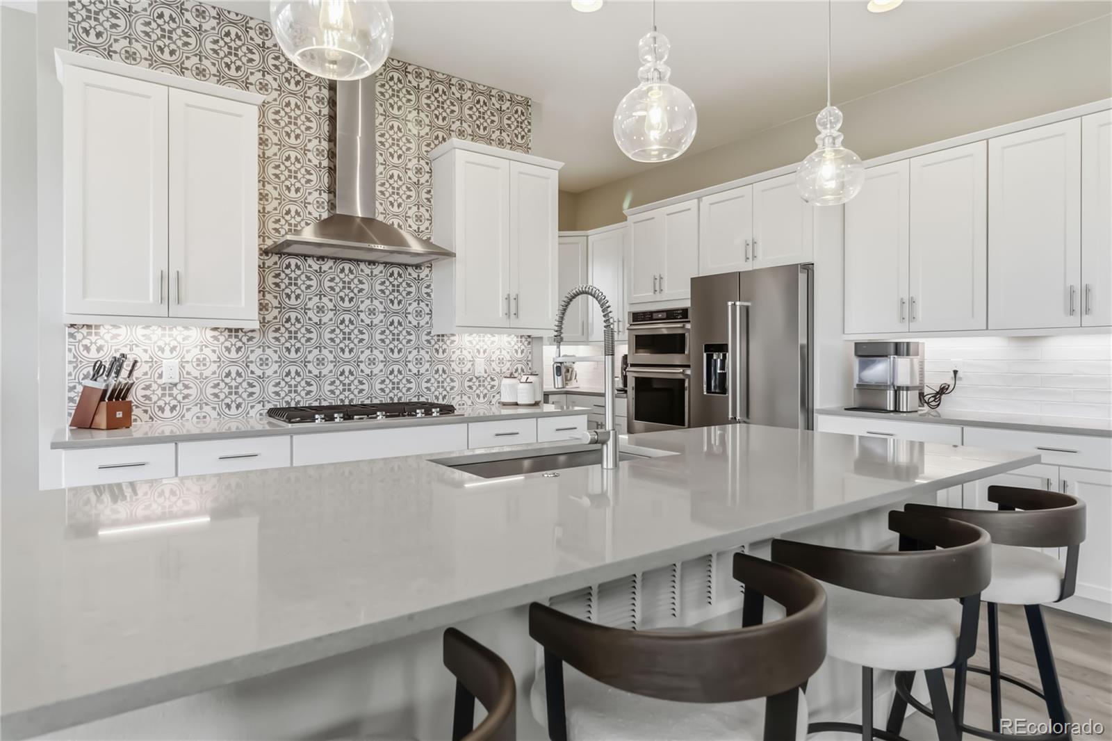 489 Meadowleaf Lane Highlands Ranch CO 80126