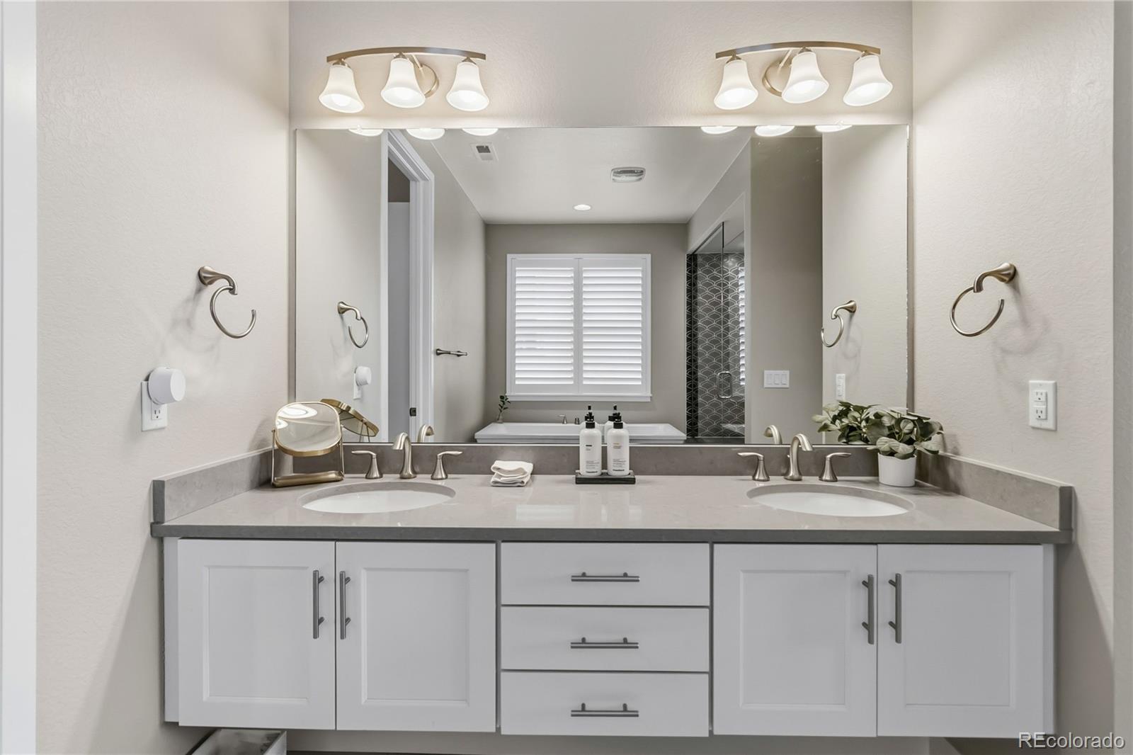 489 Meadowleaf Lane Highlands Ranch CO 80126