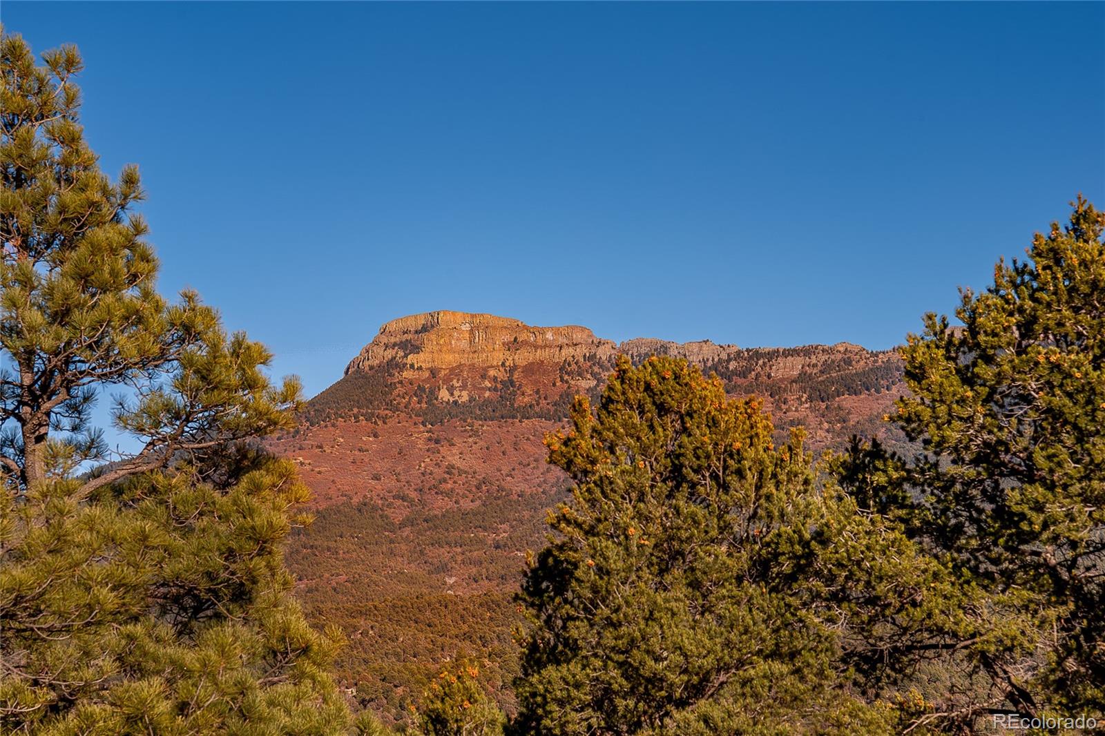 33603 Fisher Peak Parkway Trinidad CO 81082