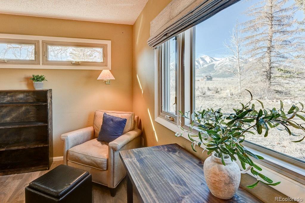 15622 County Road 306 Buena Vista CO 81211