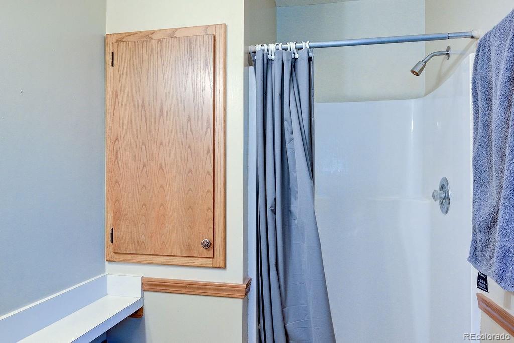 15622 County Road 306 Buena Vista CO 81211