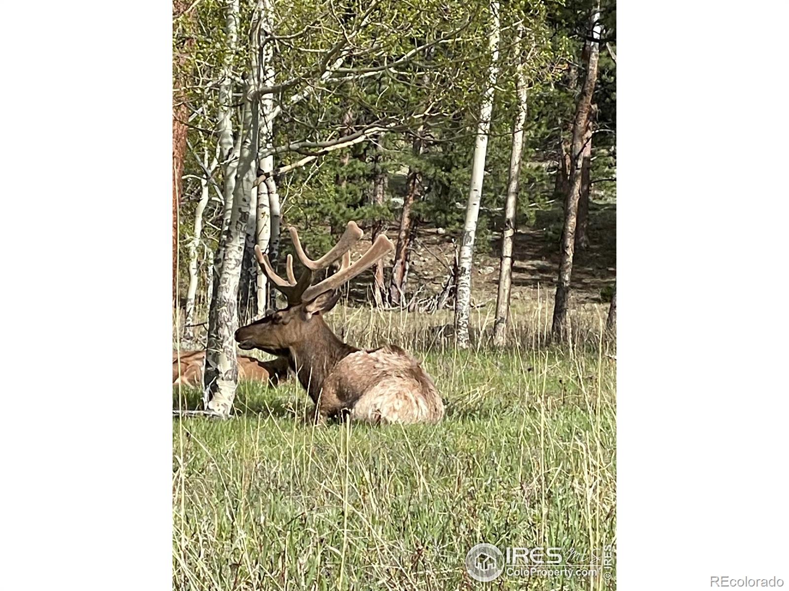 1565 Highway 66 Estes Park CO 80517