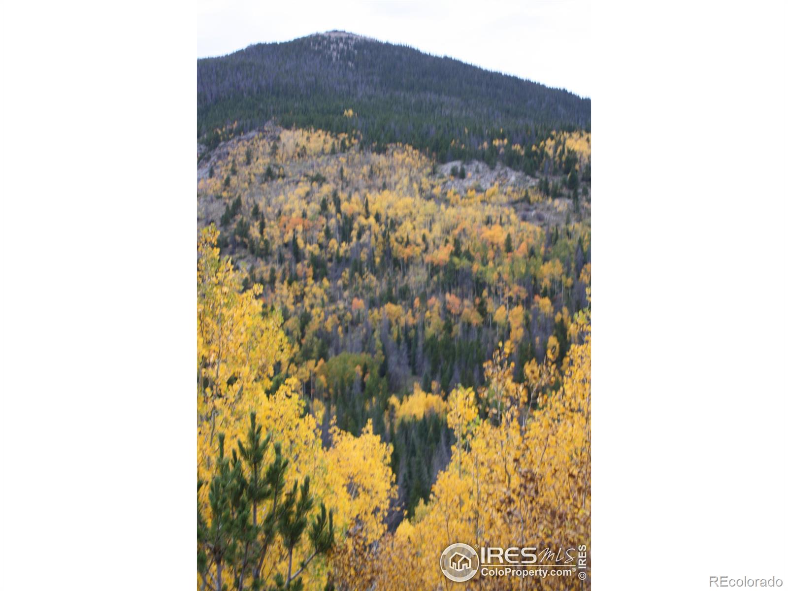 1565 Highway 66 Estes Park CO 80517
