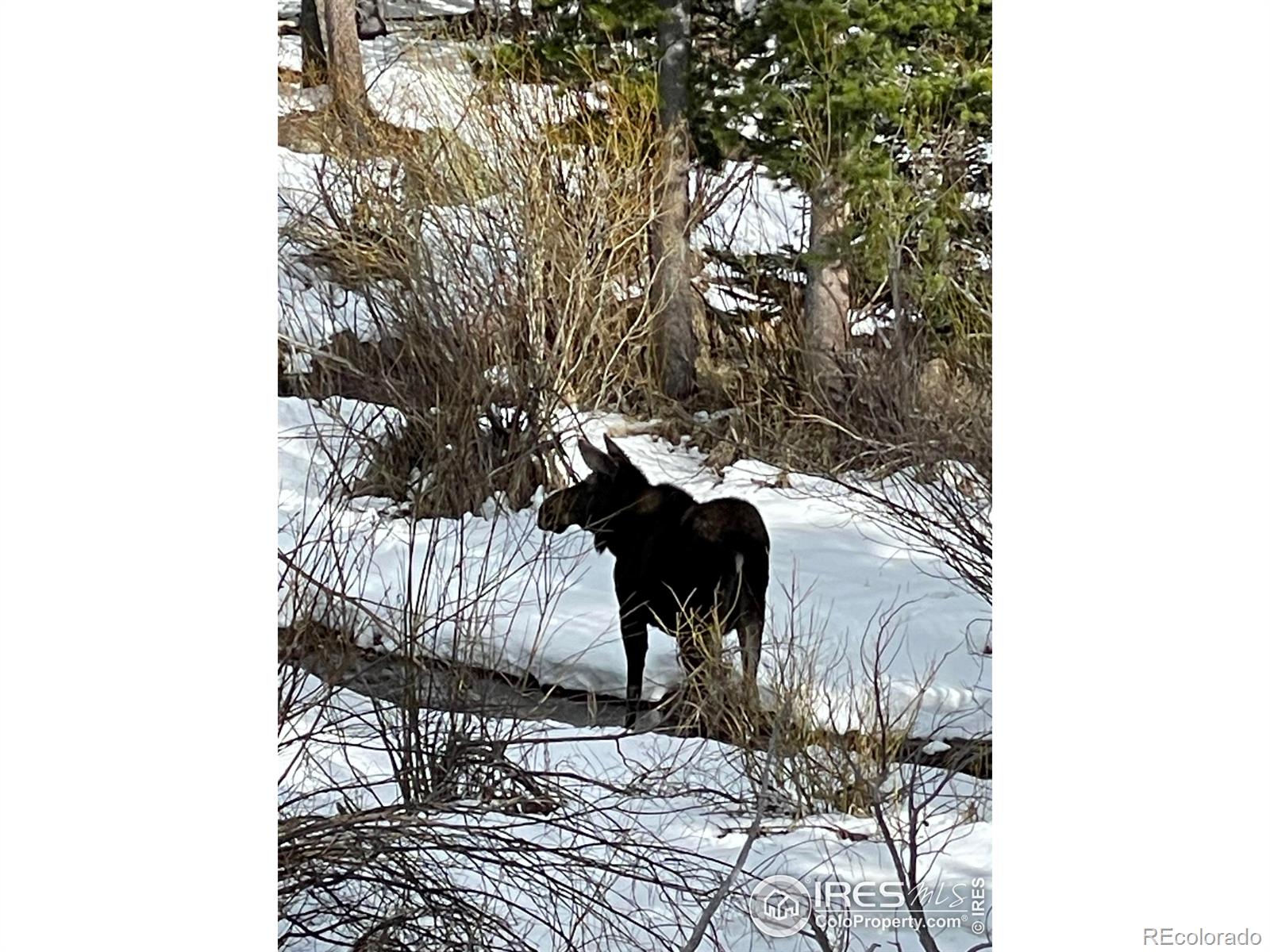 1565 Highway 66 Estes Park CO 80517