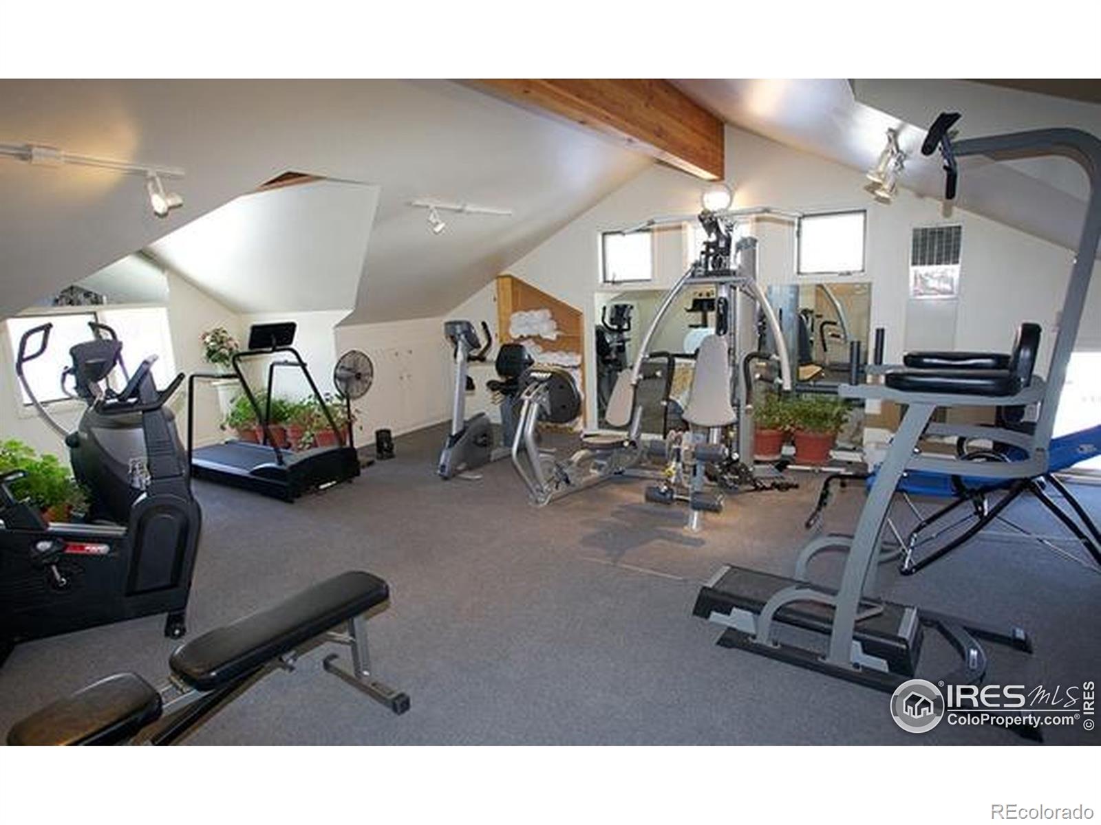 1565 Highway 66 Estes Park CO 80517