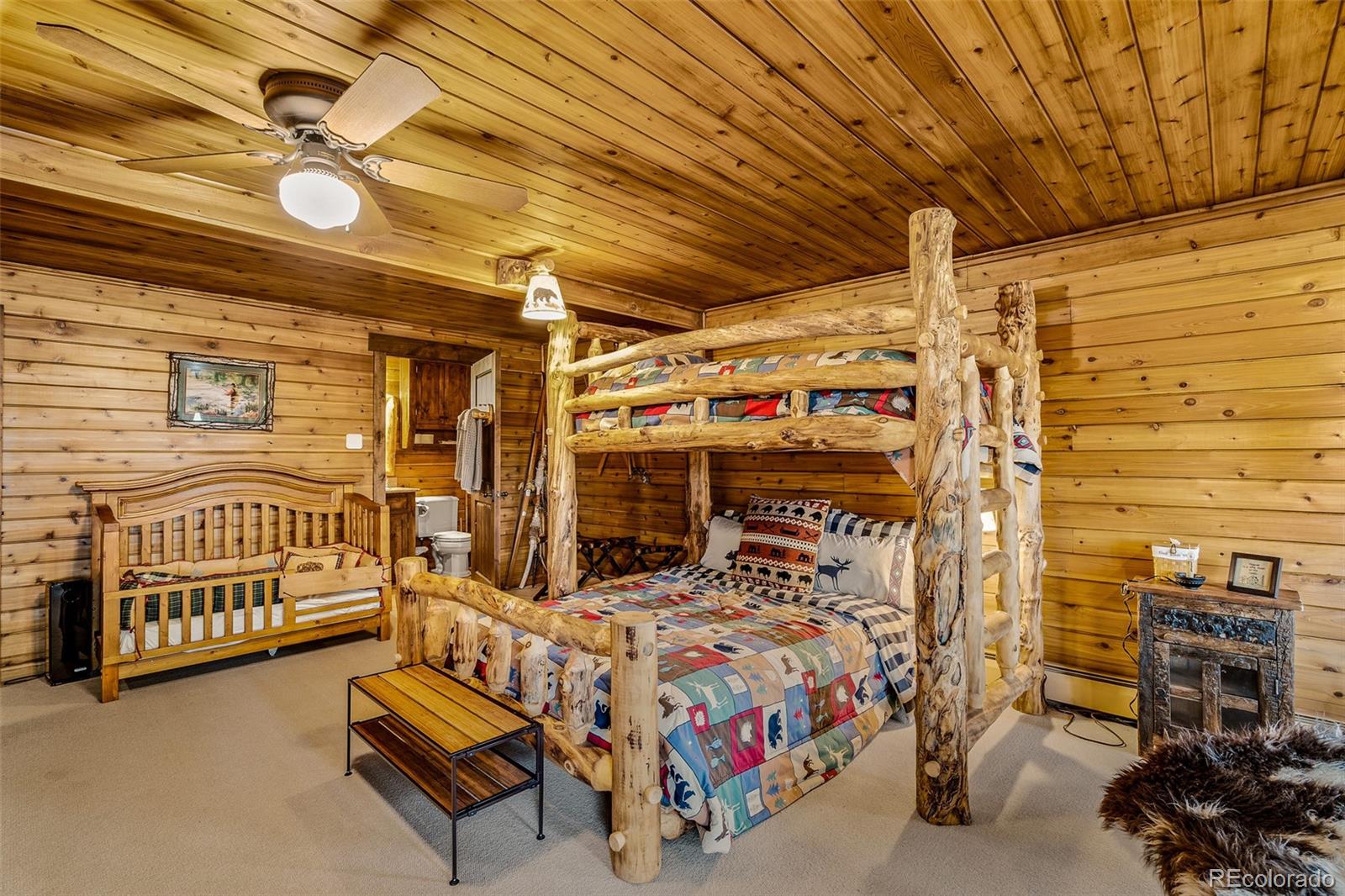 32806 Lakeside Drive Buena Vista CO 81211