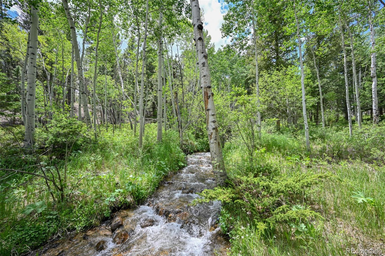 32806 Lakeside Drive Buena Vista CO 81211