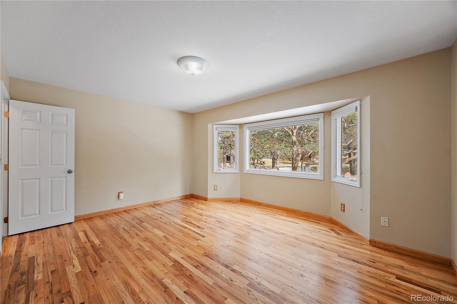 1669 Woodstone Way Monument CO 80132