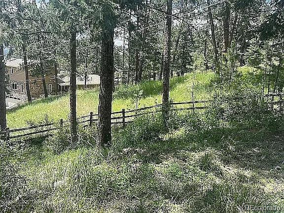 4660 Independence Trail Evergreen CO 80439