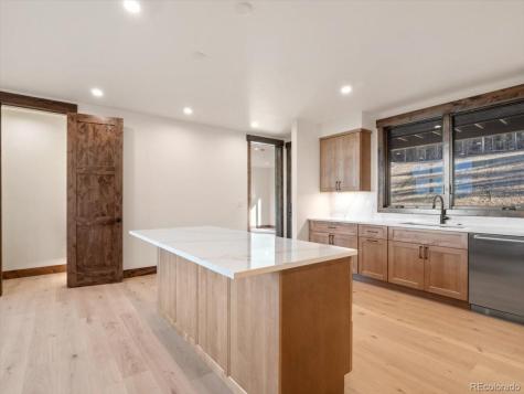 528 N Fuller Placer Breckenridge CO 80424