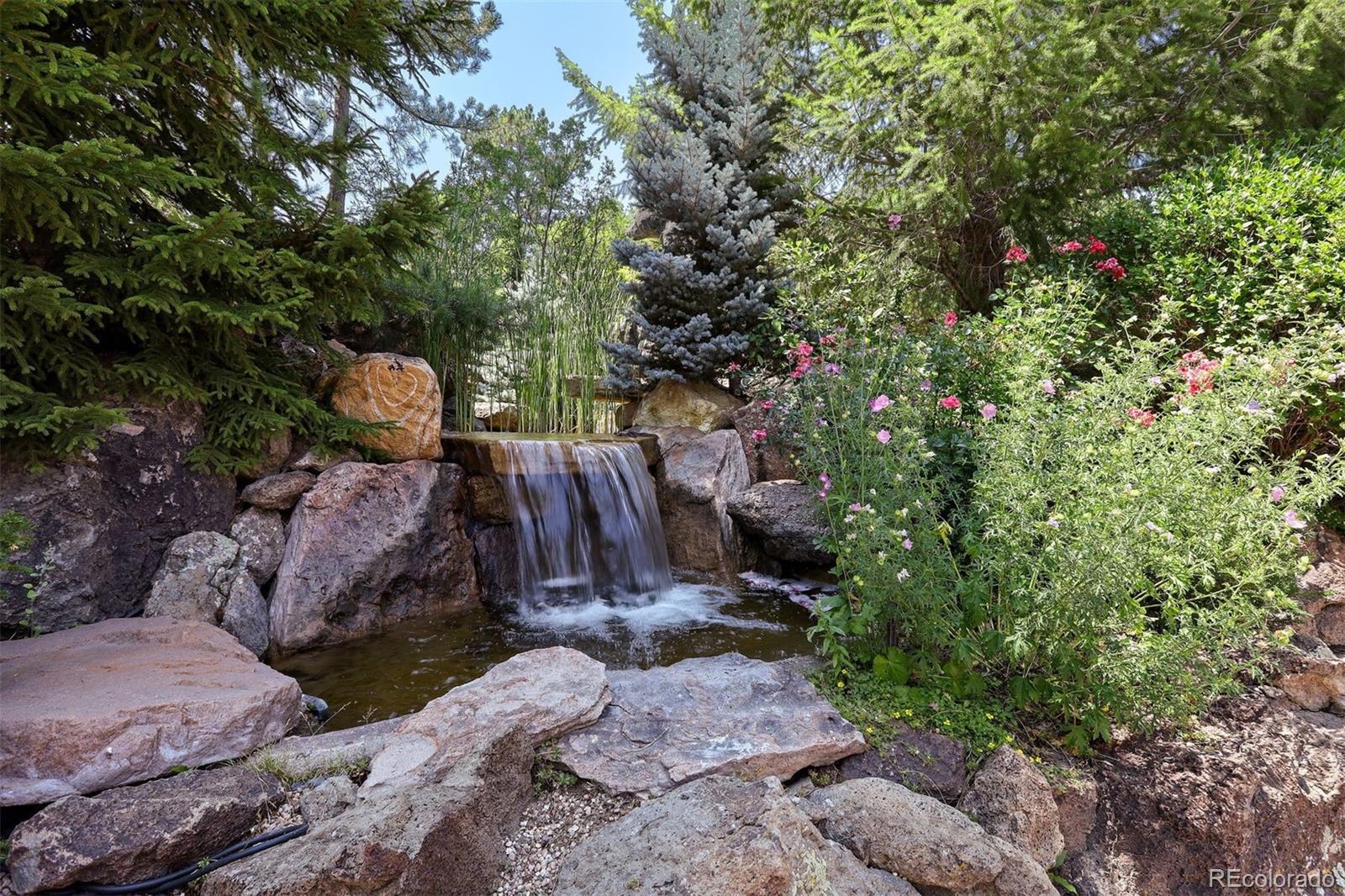77 Comstock Place Castle Rock CO 80108