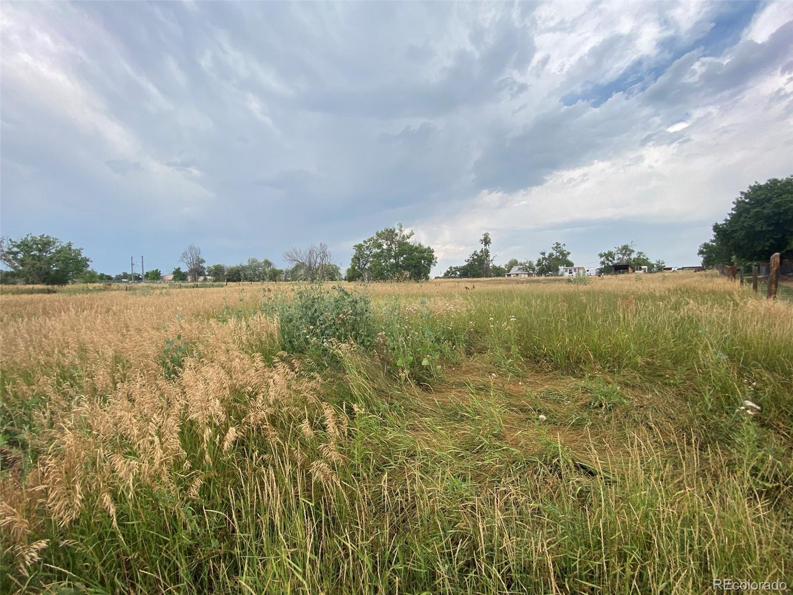 12380 York Street Thornton CO 80241