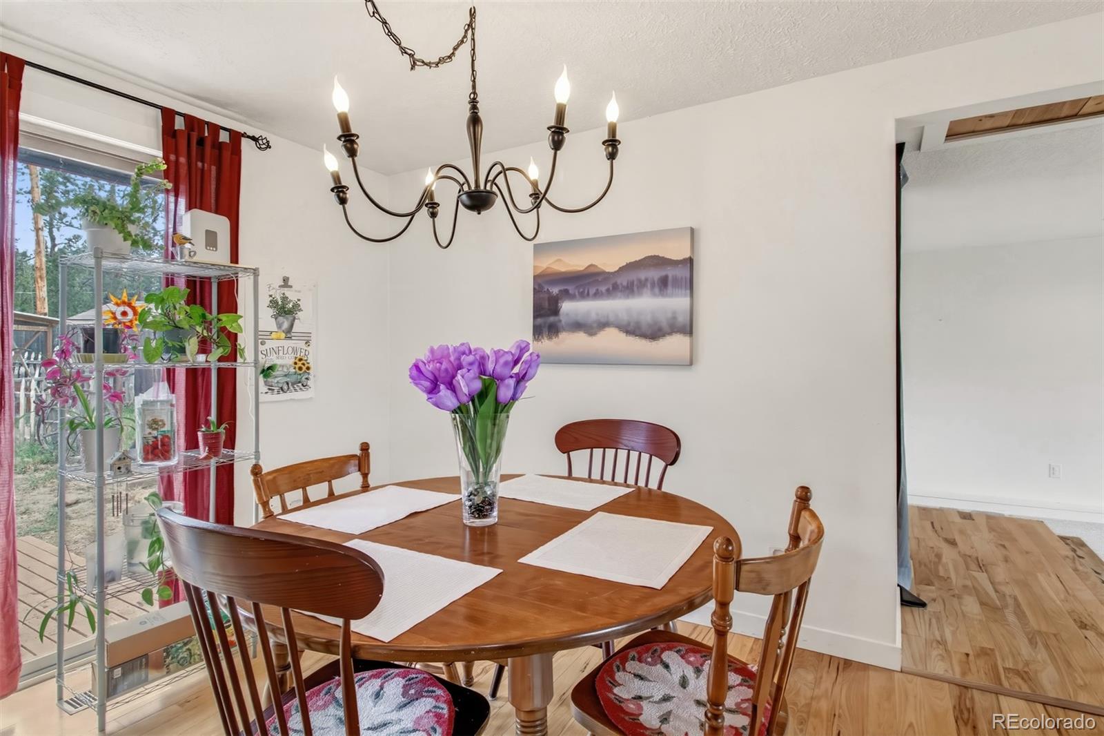 1217 Michael Lane Woodland Park CO 80863