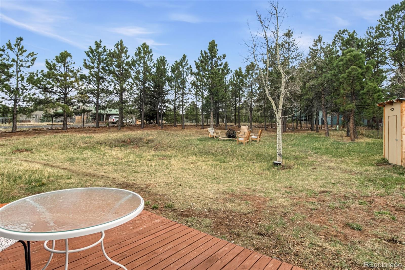 1217 Michael Lane Woodland Park CO 80863