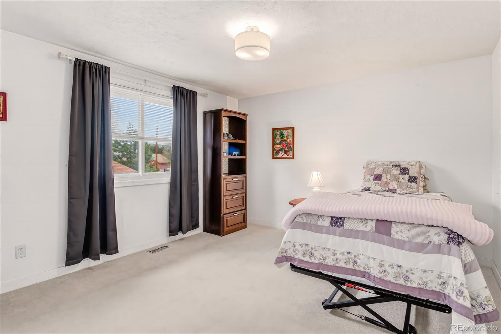 1217 Michael Lane Woodland Park CO 80863