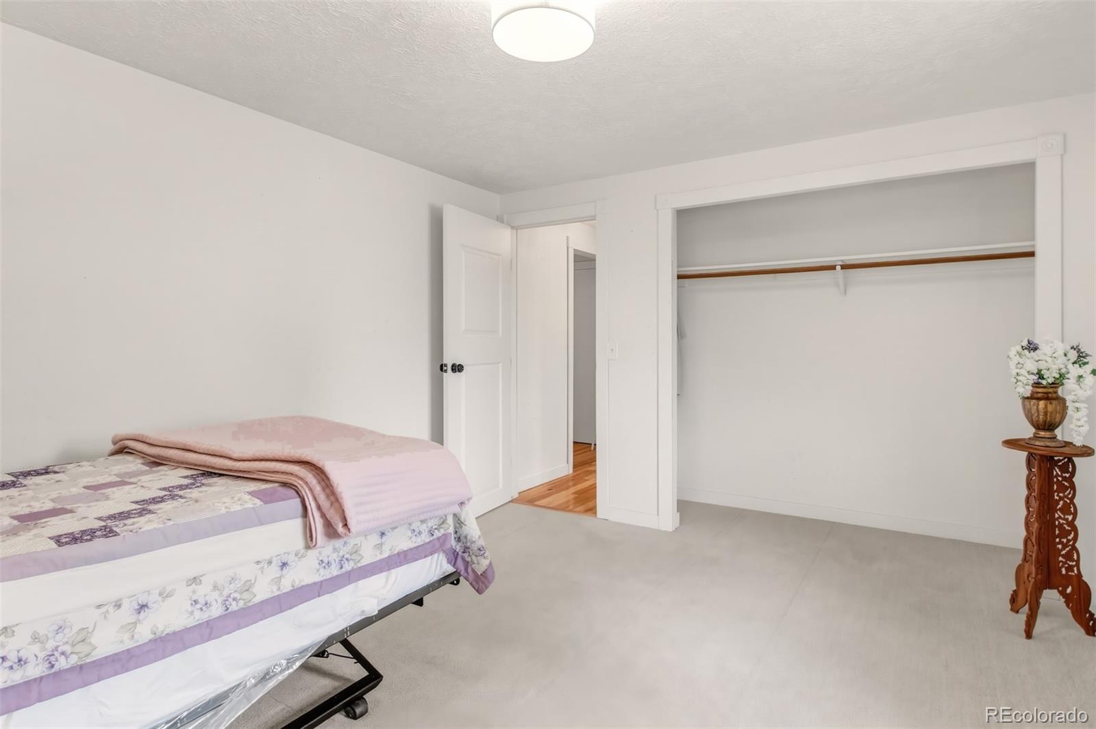 1217 Michael Lane Woodland Park CO 80863