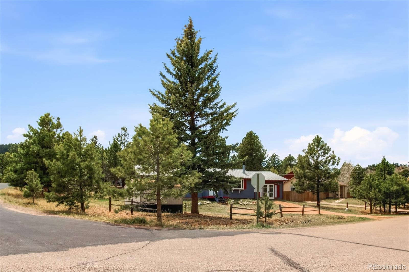 1217 Michael Lane Woodland Park CO 80863